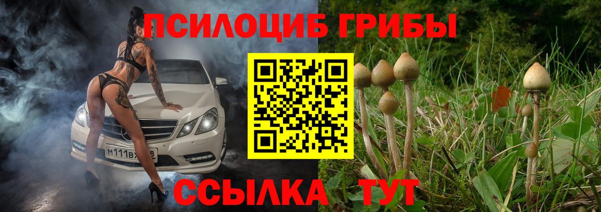 Чистополь  Галлюциногенные грибы Magic Shrooms  Псилоцибиновые грибы Cubensis  Вход с VPN 